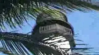 CAPE FLORIDA LIGHTHOUSE - FL