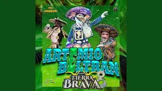Artemio Beltrán