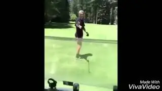 Deja Vu & You Spin Me Right Round Compilation #1
