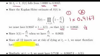 Survival Analysis - Kaplan Meier Estimates