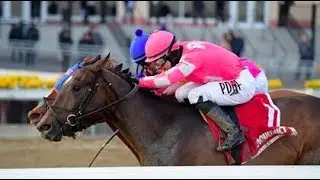 Travers Contenders: Tax