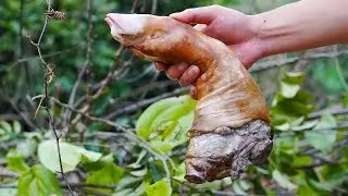 Braised Pig Trotter | Slow-cook| Camping & Cooking | Man Camp Cook