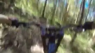 Toodles pinned run at Mapleton downhill Queensland