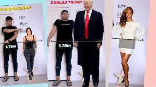 How Tall is Donald Trump? #tall #beyonce #donaldtrump #kimkardashian #funny #meme #comedy #facts #4u