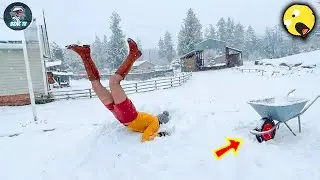 TOTAL IDIOTS AT WORK | Instant Regret Fails Compilation 2026 #274 | Best Fails of the Week