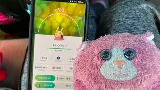 Cribes The Hedgehog: Pokemon Go/ Evolving Shiny Goomy Family For a Community Day Move