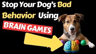 The Secret to Fixing Your Dog's Behavior Fast with Brain Games &ndash; Watch This! #dogtraining
