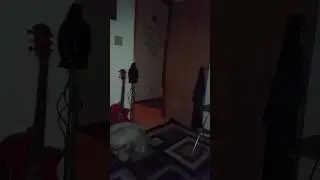 Strobing Orb visits from Hall amongst the activity