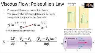 Week 11 PHY 221 - Non ideal Fluids