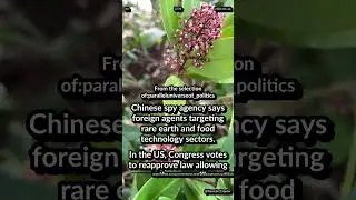 China: rare earth, food technology target. US warrantless surveillance law. Russia Turns to Tether