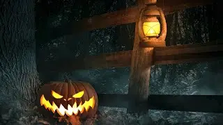🎃 Halloween Ambience & Scary Sounds 3 Hrs Spooky Haunted Graveyard - Creepy Creaking Forest ASMR 4k