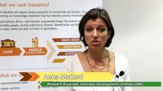 How can the donors play a role in promoting cash transfer programmes?