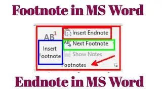 Footnote and Endnote in Reference Tab - MS Word