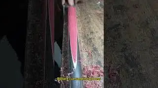 Billiard cue sanding process #machine #wheelsaw #woodworkingmachine #factory