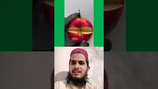 🍏 Stunning Apple Harvest 2026 &ndash; Fresh Apples Straight from the Orchard 🍎