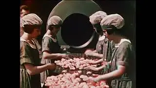 Sunshine Gatherers (1921) Prizma Natural Color Pictures Inc.