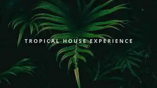 Tropical House Experience - JCKK (Official Audio)