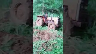 Farming in Sri lanka: TAFE 5245