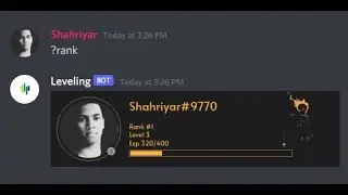 How to make a leveling bot using discord.py + disrank with Rank card image and Postgresql