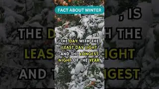 FACTS & QUOTES ABOUT WINTER #quotes #facts #factshorts  #funfact #winter