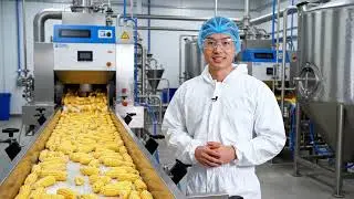 Inside a Modern Corn Milk Factory: From Fresh Corn to Bottled Sweet Corn Milk (Full Process)