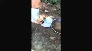 The Tragic Story of The Man Deer (Actaeon Story)