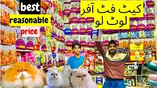Cat food ki dunya me offer lagadi world expensive cat food cheapest price shop 2025 