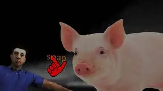 [Animations] Animal Farm | Microsoft PowerPoint