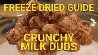 How to Freeze Dry Milk Duds to Perfection #freezedried #freezedriedguide #homestead