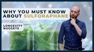 What is Sulforaphane & Its Anticancer Effects | Longevity Nugget