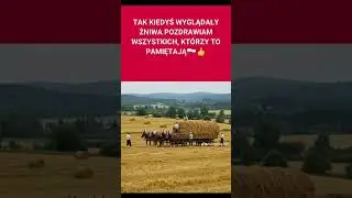 żniwa kiedyś a dziś prawdziwa prawda#żniwa#życie #praca#trut#wieś#godność #polska