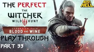 The Beast Of Beauclair & An Old Friend | The Perfect Witcher 3 Playthrough | Part 33