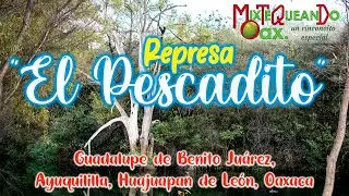( El Pescadito ) Guadalupe de Benito Juárez Santiago Ayuquililla Huajuapan de Leon Oaxaca.