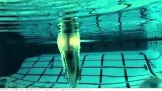 Mikrotron High Speed Camera Singapore - MV Asia Infomatrix