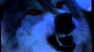 Timber Wolf Roller Coaster commercial