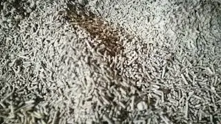How to make cat litter pellet with ring die pellet machine