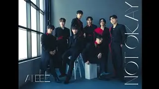 NOT OKAY - ATEEZ (Clean Vocals + Reverb)