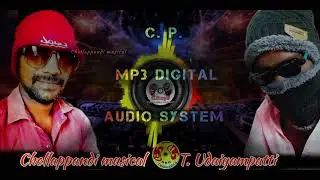 Wish you happy new year song C. P. Mp3 digital audio system
