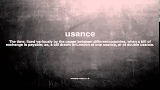 What does usance mean