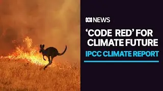 Climate change report a 'code red for humanity', United Nations chief warns | ABC News
