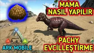MAMA NASIL YAPILIR - PACHY EVCİLLEŞTİRME - (Ark Mobile Türkçe)