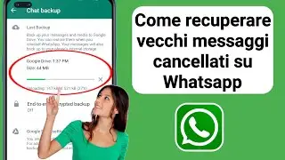 Come recuperare vecchi messaggi cancellati su Whatsapp (Guida completa 2024)