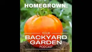 Gardening on a Budget: How to Save Money While Growing Your Own Healthy Food
