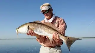 Mosquito Lagoon Bull Redfish Fishing the Flats on the Space Coast