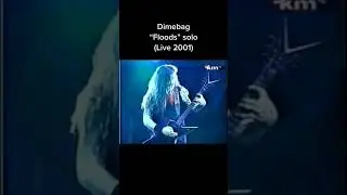 Dimebag Darrel Floods solo..