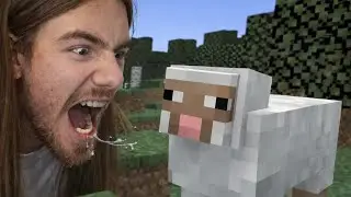 ce mouton ne s'en sortira pas... ( &eacute;pisode 1 )