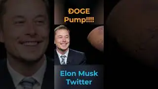Elon Musk's  Twitter Takeover: Is Dogecoin Pump a Win for Crypto? || Crypto News || Dogecoin