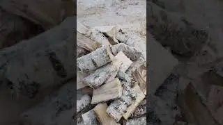 КАК МЫ ВЫЖИВАЕМ В -30 В КАРЕЛИИ? Топим дом, рубим дрова, бензопила в деле! Рождество на Зелёной даче