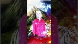 #👉 is video khiladi cost#z❤️🔥