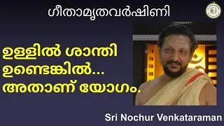 ഉള്ളിൽ ശാന്തി ഉണ്ടെങ്കിൽ... അതാണ് യോഗം.| Sri Nochur Swami | Bhagavad Gita Chapter 18(Palakkad 2016)